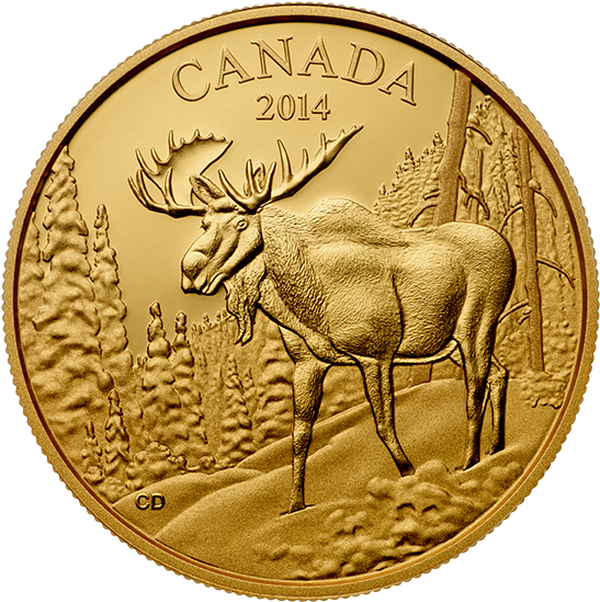 Canada 350 Dollars Gold Coin 2014 The Majestic Moose - 2014 Pure Gold 350 Dollar Coin - The Majestic Moose (570x570), Png Download