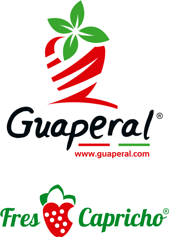 Productores De Fresas - False Solid Cappuccino Baker's Twine (240 Yards) (600x956), Png Download