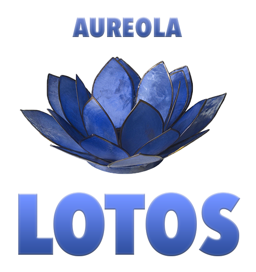 Sacred Lotus (546x550), Png Download