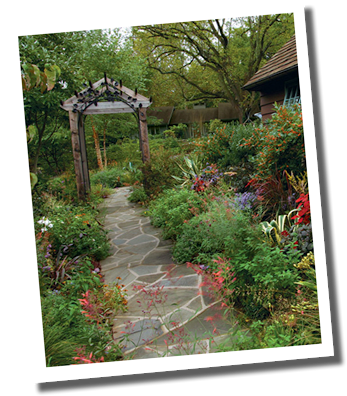 Perfecting Plant Combinations - Front Yard Gardens (384x400), Png Download