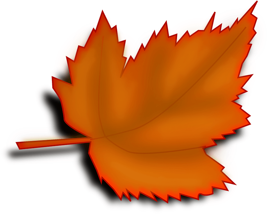 Spring Cleaning In Fall (901x720), Png Download