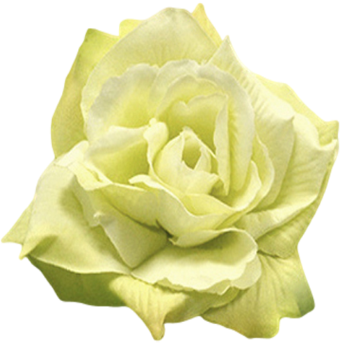 Light Green - Light Green Flower Png (500x500), Png Download