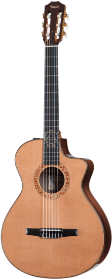 Jason Mraz Signature Model - Taylor Gs Mini Bass (310x550), Png Download