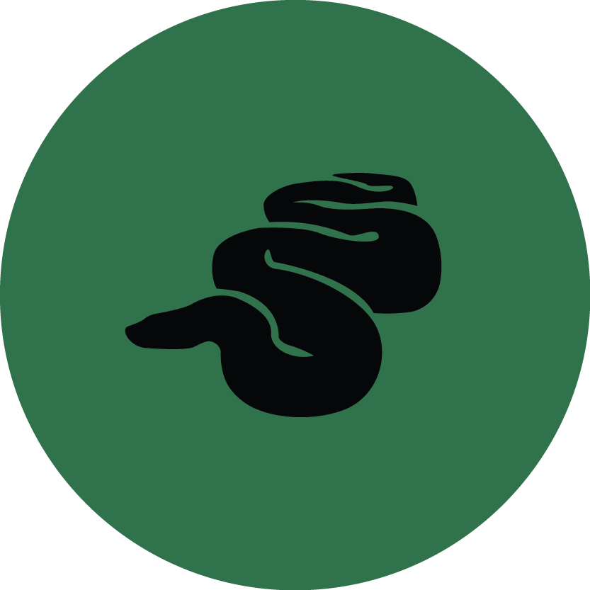 Slytherin - Circle (833x833), Png Download