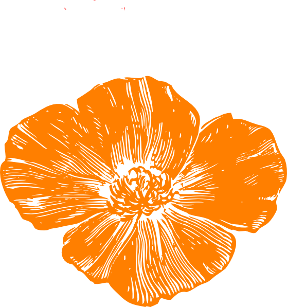 Jpg Freeuse Download Peach Poppies Clip Art At Clker - California Poppy Png (558x597), Png Download