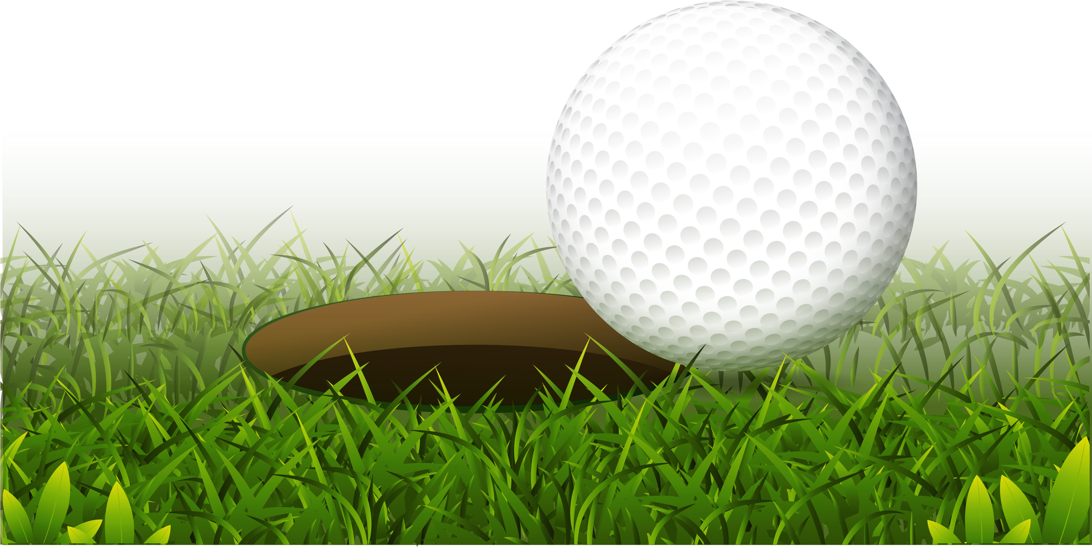 Ball Club Hole Realistic - Golf Hole Png (4550x2583), Png Download
