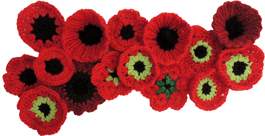 Be Creative, Together We Can Make Something Special - Poppy (900x483), Png Download