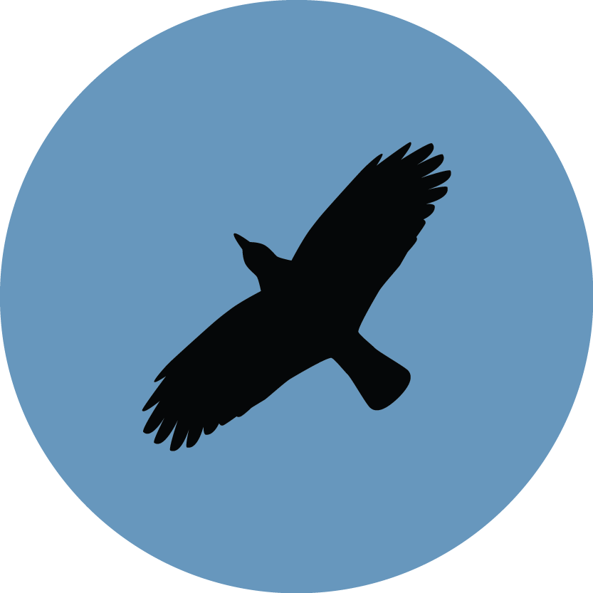 The Ultimate Harry Potter Quiz - Ville De Saint Etienne (833x833), Png Download