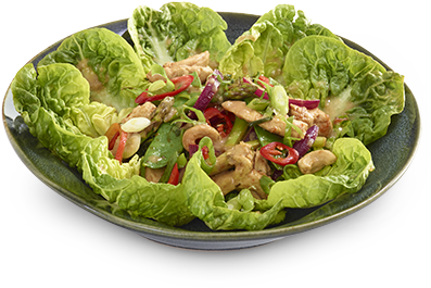 warm chilli chicken salad wagamama warm chilli chicken salad full size png download seekpng seekpng