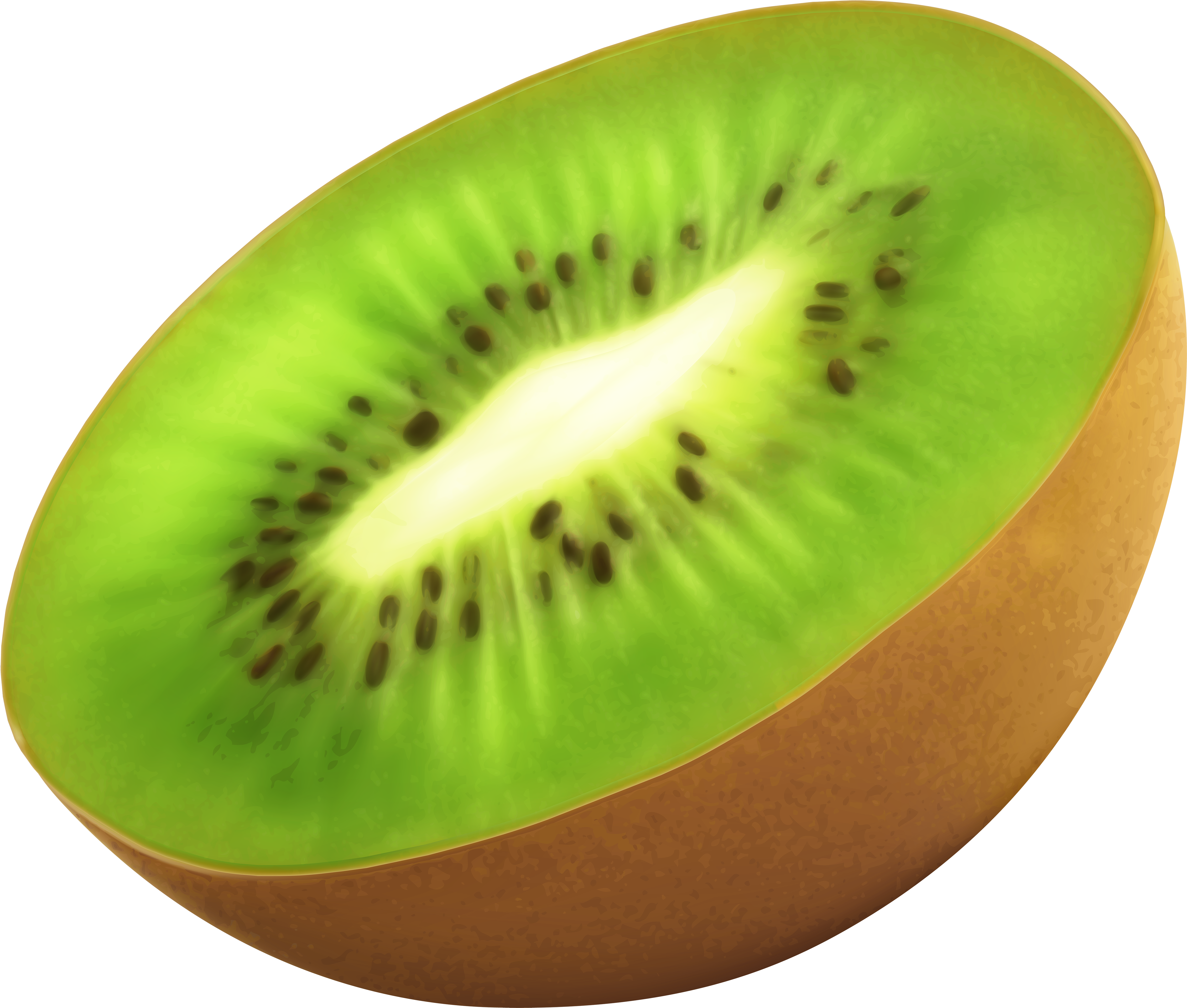Kiwifruit (5000x4267), Png Download