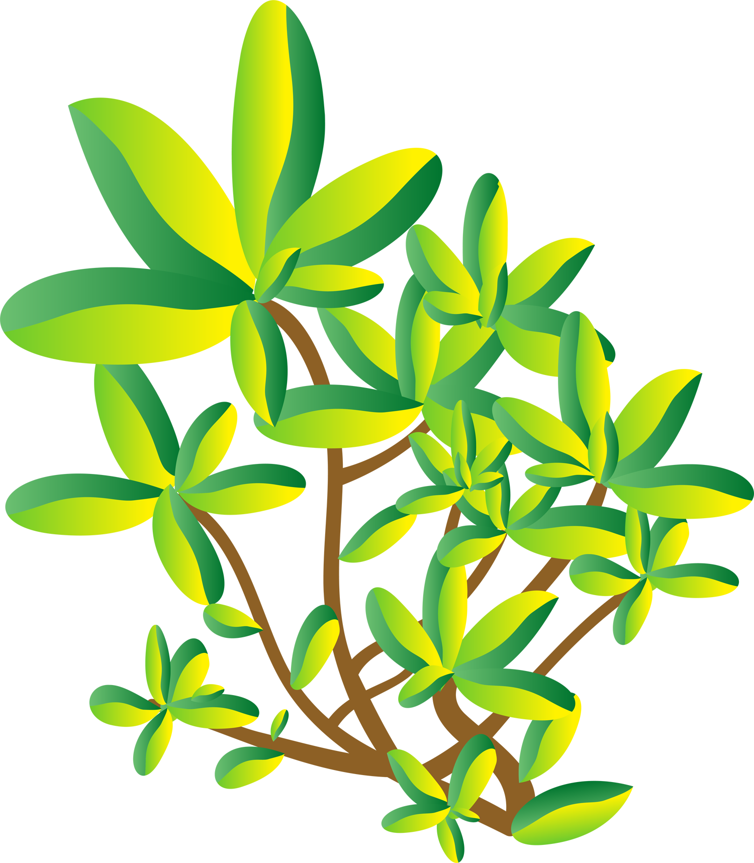 Free Floral Vector Graphics - Modern Green Tree 30 Shower Curtain (1500x1717), Png Download