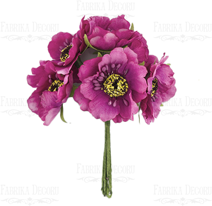 Color (500x500), Png Download