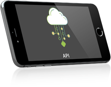 Kiwi Produkte Api - Product (500x375), Png Download