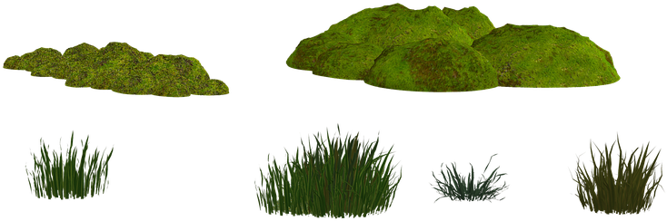 Moss, Png, Isolated, Green - Moss Png Transparent Background (960x720), Png Download