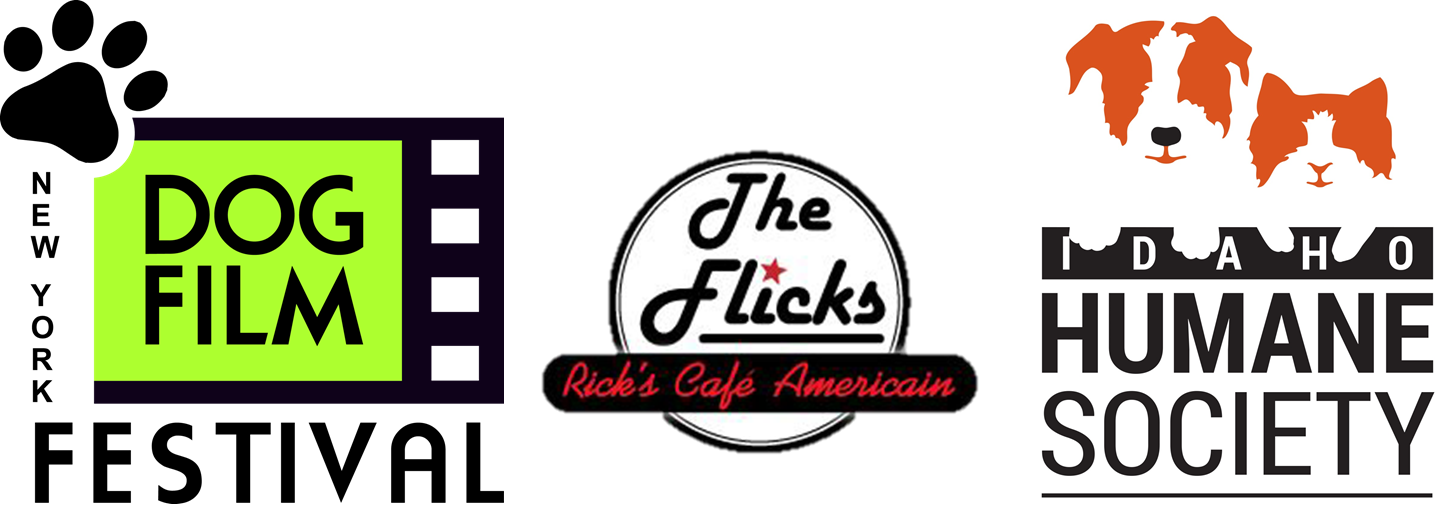 Flicks Movies Dog Film Festival - Film (1444x507), Png Download