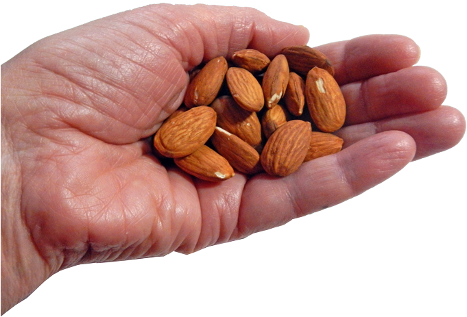 Enjoy A Healthy Handful Of Nuts - One Handful Nuts (690x465), Png Download