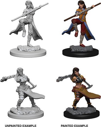 Add To Wish List - Nolzur's Marvelous Miniatures Vampire (450x551), Png Download