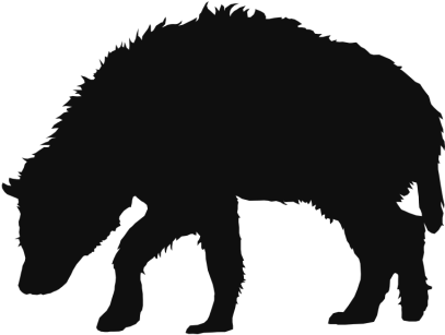 Lobo Clip Arts Animales Salvajes Background - Animal (640x640), Png Download