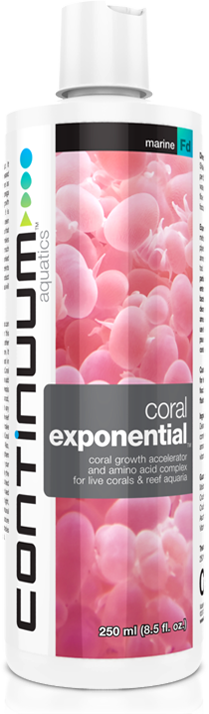 Coral Exponential 1 V=1436027823 - Continuum Aquatics Coral Exponential (209x714), Png Download