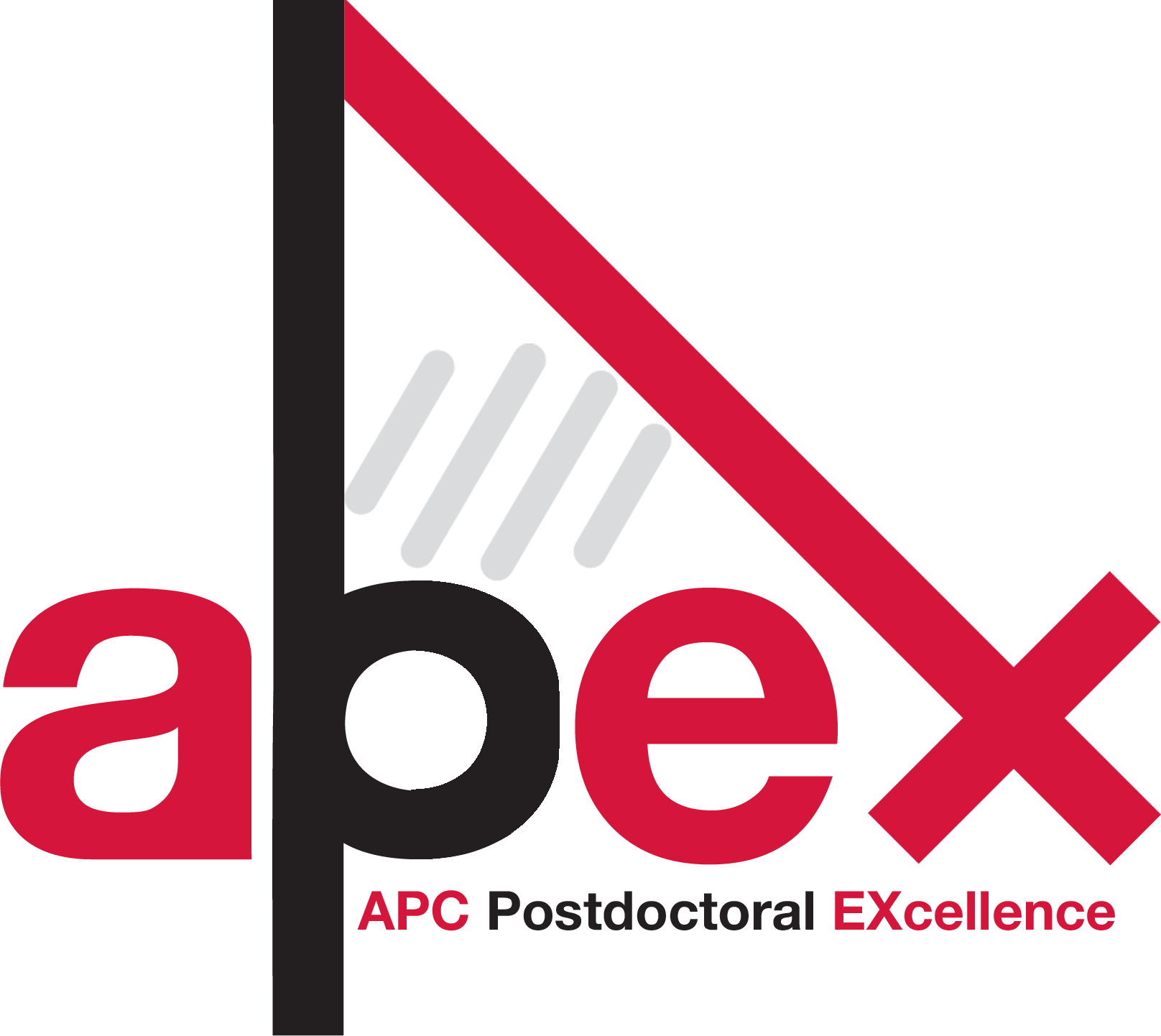 Apc Microbiome Ireland - Apex (1616x1442), Png Download