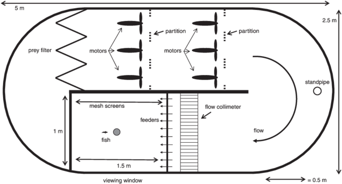 Top-view Diagram Of The Stream Tank, Drawn To Approximate - Water Streaming Tank (850x369), Png Download