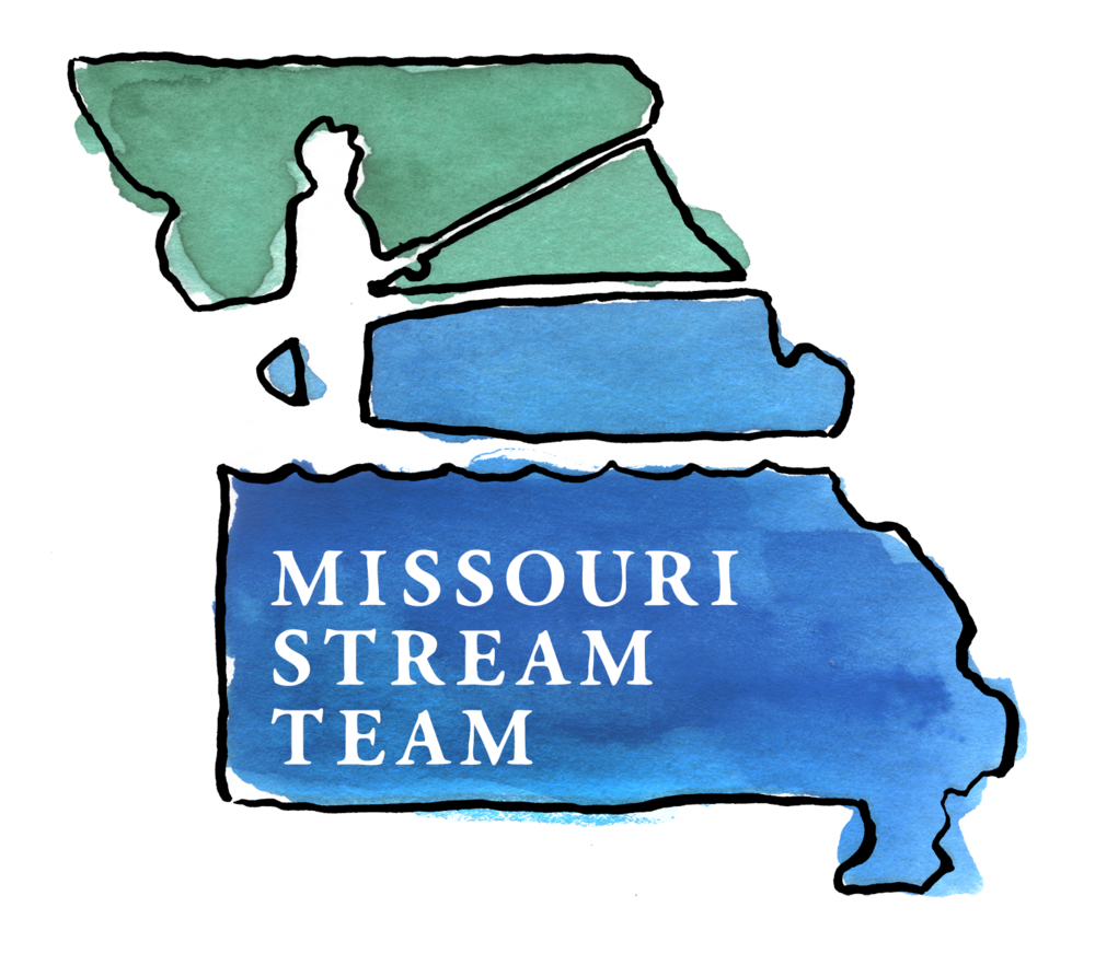 Mstwc Logo White - Missouri Stream Team (1000x893), Png Download