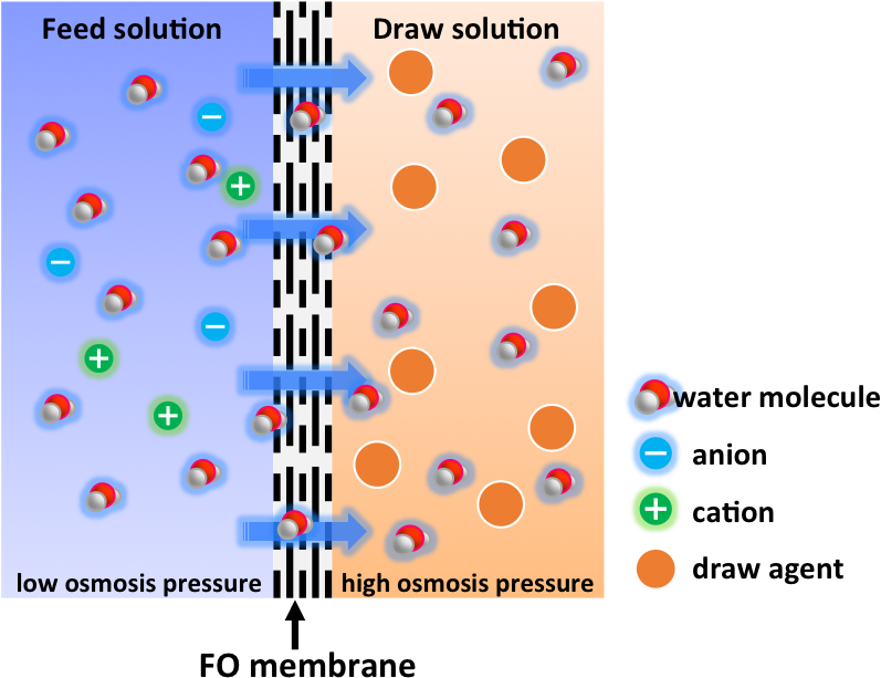Fig2 - Portable Network Graphics (816x630), Png Download