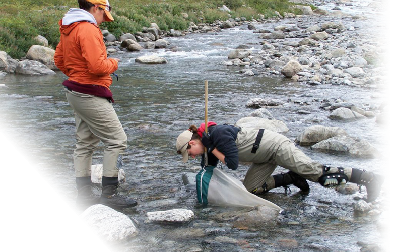 Canadian Rivers Institute (780x500), Png Download