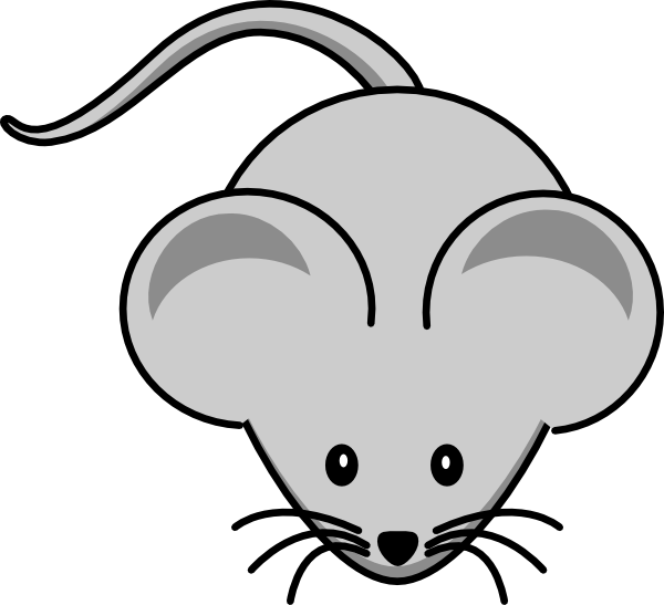 Mouse Face Clipart - Cartoon Mouse Shower Curtain (600x547), Png Download