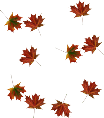 Leaves Png - Tree Leaves Falling Png (353x400), Png Download