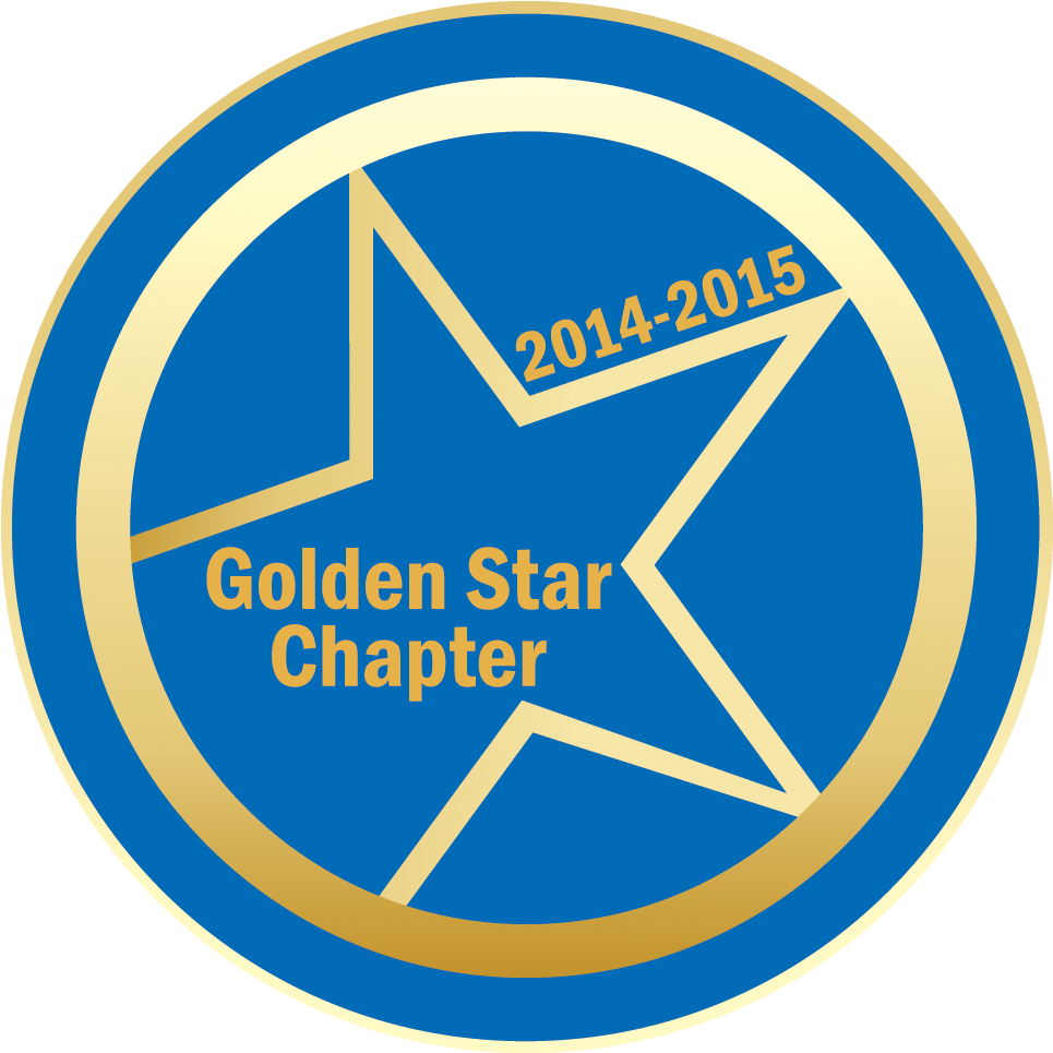 Golden Star Chapter Performance Level Expectations - Service Channel (990x990), Png Download