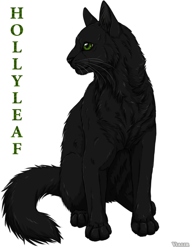 Hollyleaf By Vialir-d7xrzll - Warrior Cats Deviantart Hollyleaf (815x980), Png Download