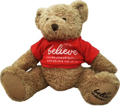 Believe Bear - Doll (419x373), Png Download