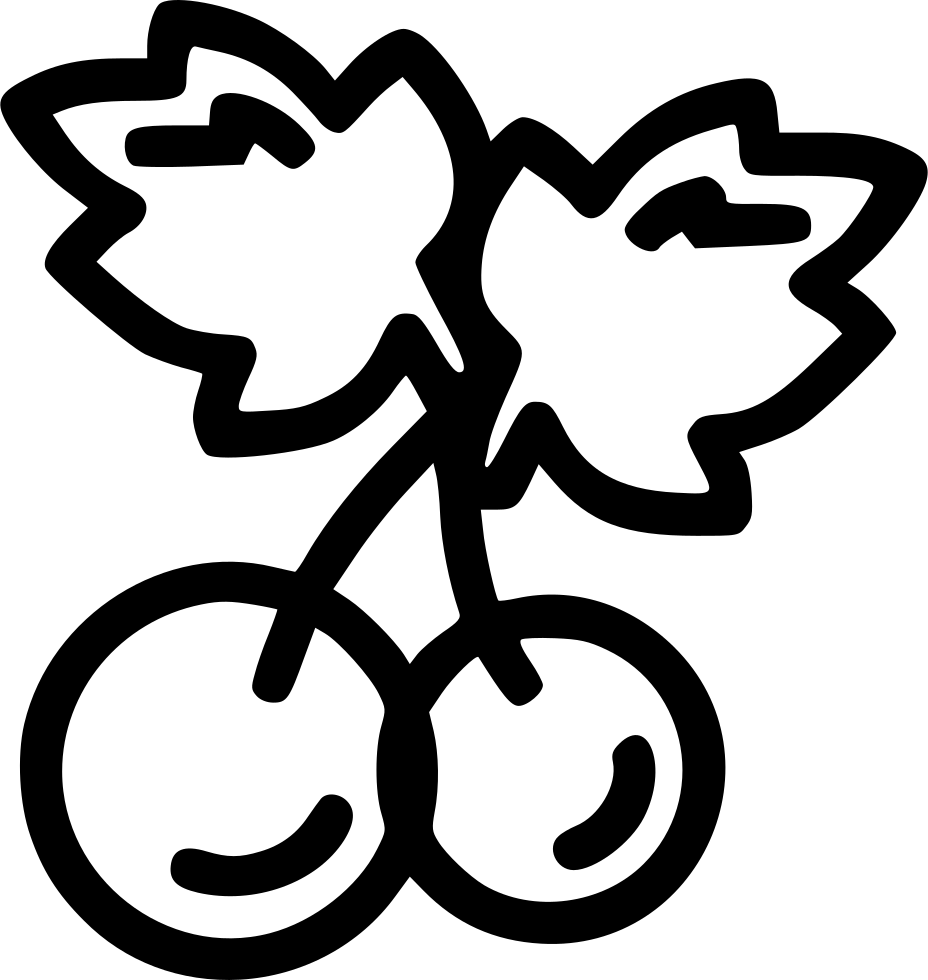 Christmas Mistletoe Holly Leaf Wreath Cherry Comments - Clip Art (928x980), Png Download