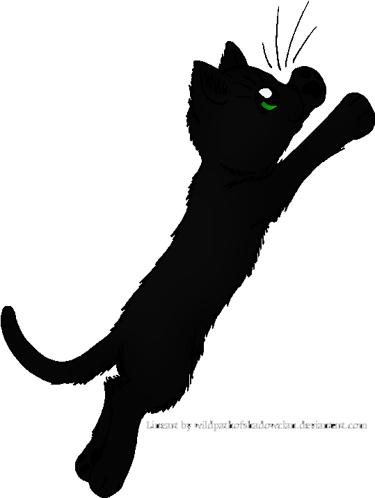 Hollyleaf - Warrior - Cat (561x741), Png Download