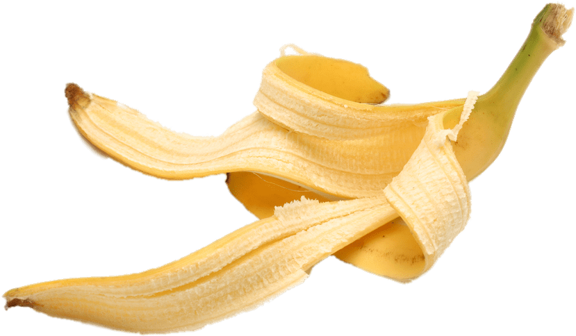 Banana Peel Transparent Stickpng - Banana Peel Transparent Background (1000x667), Png Download