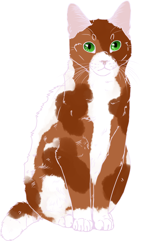 Applesong - Star - Domestic Short-haired Cat (521x800), Png Download