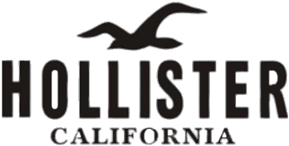 Hollister Logo (400x400), Png Download