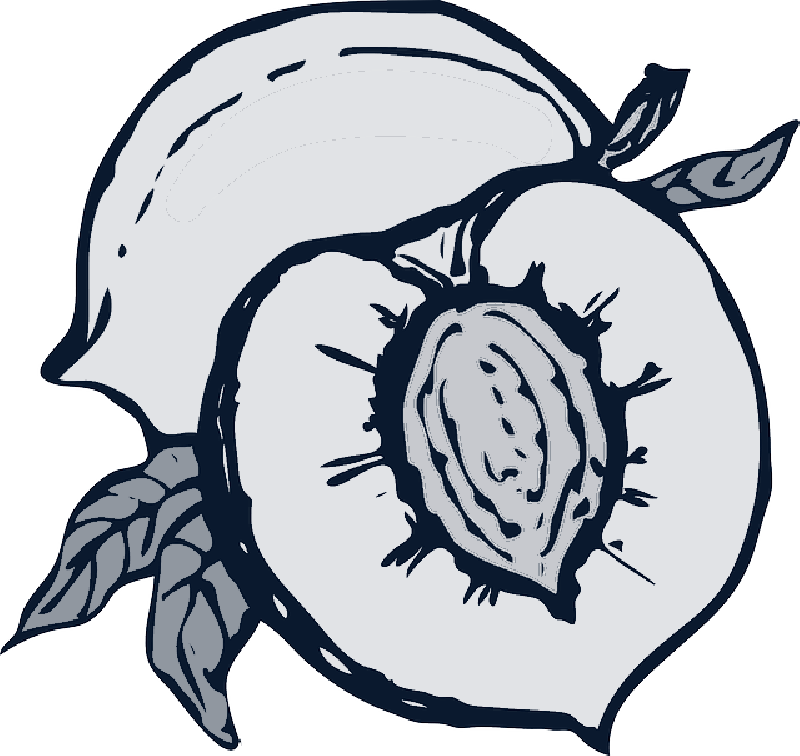 Mb Image/png - You're A Peach Note Cards (800x756), Png Download