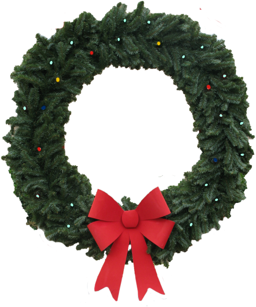 Wreath - Holiday Reef Png (535x608), Png Download