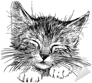 Cats Are My Favorite People (400x400), Png Download