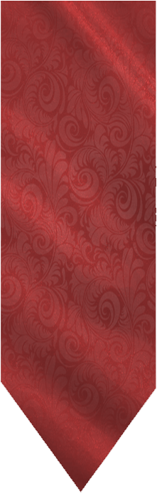 Baner - Paisley (260x700), Png Download