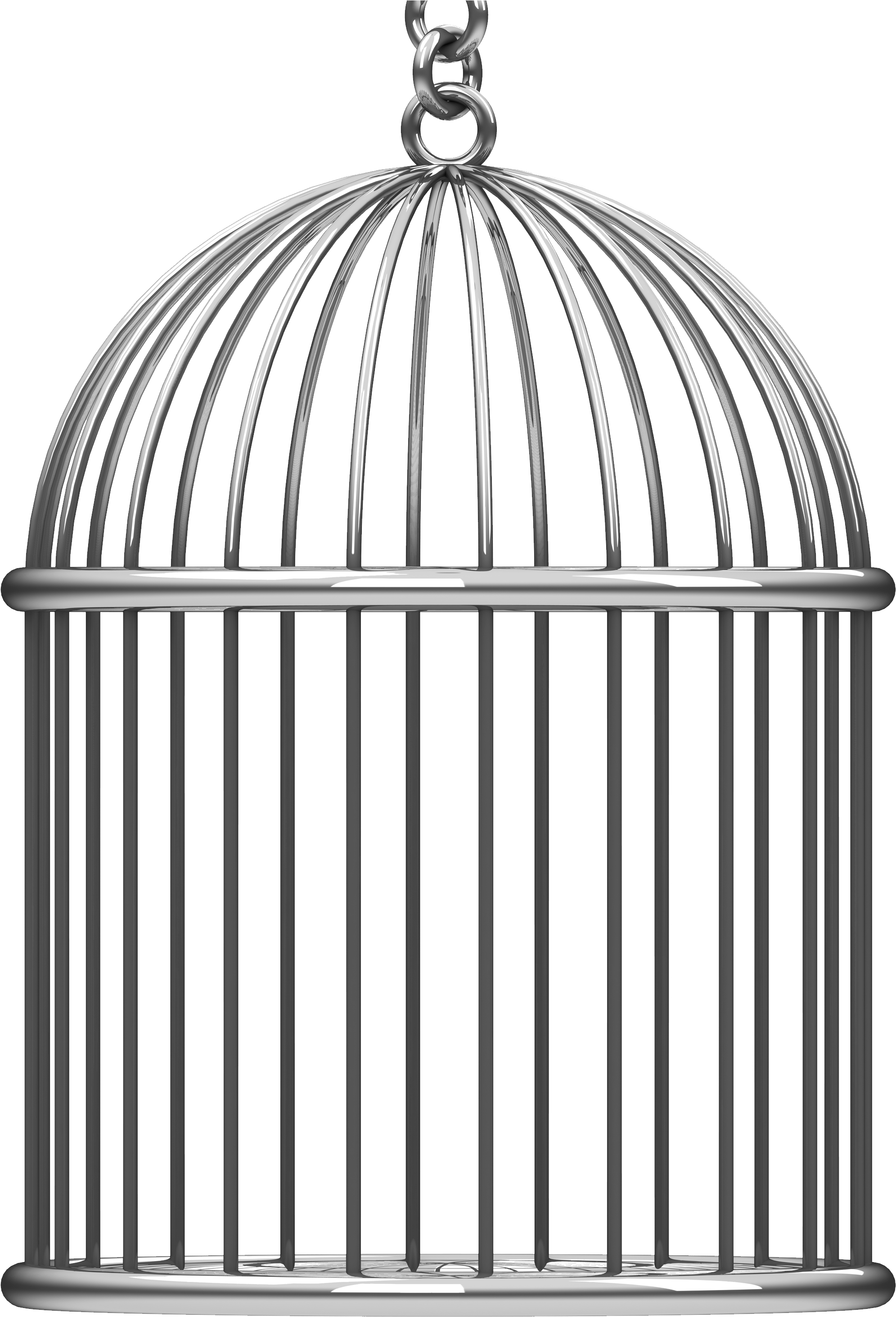 Free Png Bird Cage Png Images Transparent - Iron Cage (480x542), Png Download