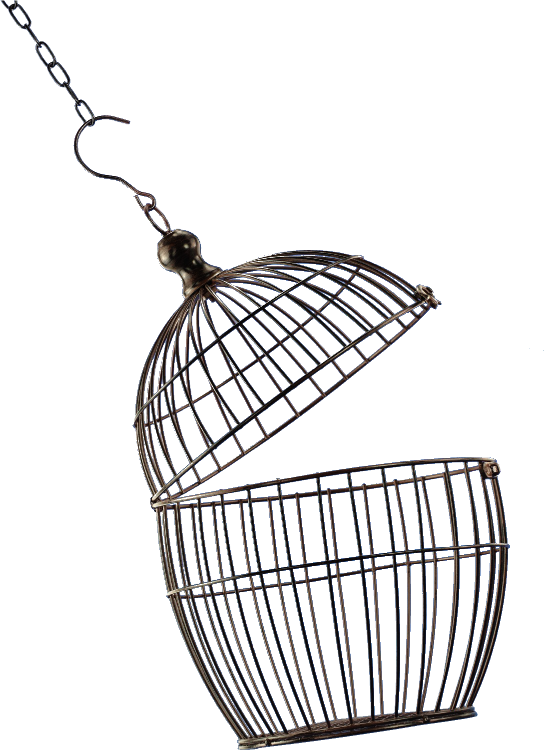 Open Bird Cage Png - Birds Cage Png (1488x1563), Png Download