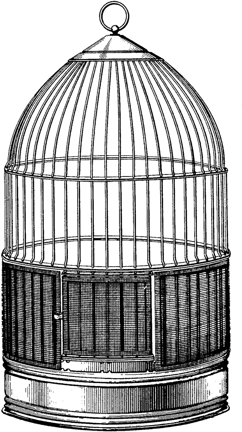 Birdcage - Vintage Bird Cage Drawing (887x1600), Png Download