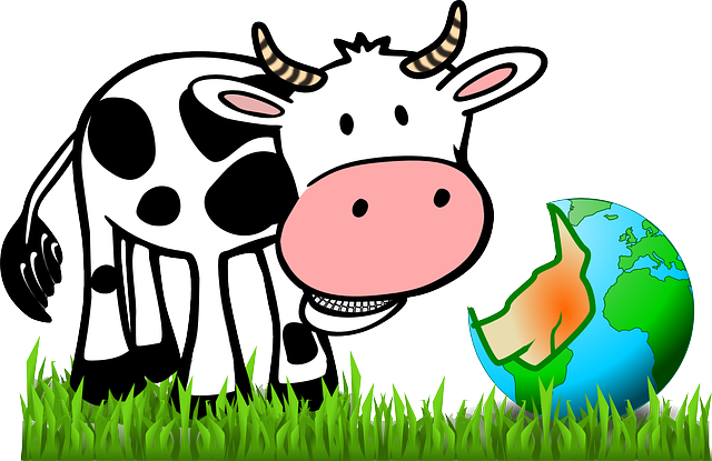 Cow, Eating, Earth, World, Funny, Cartoon, Comic - Big And Small Cards (640x415), Png Download