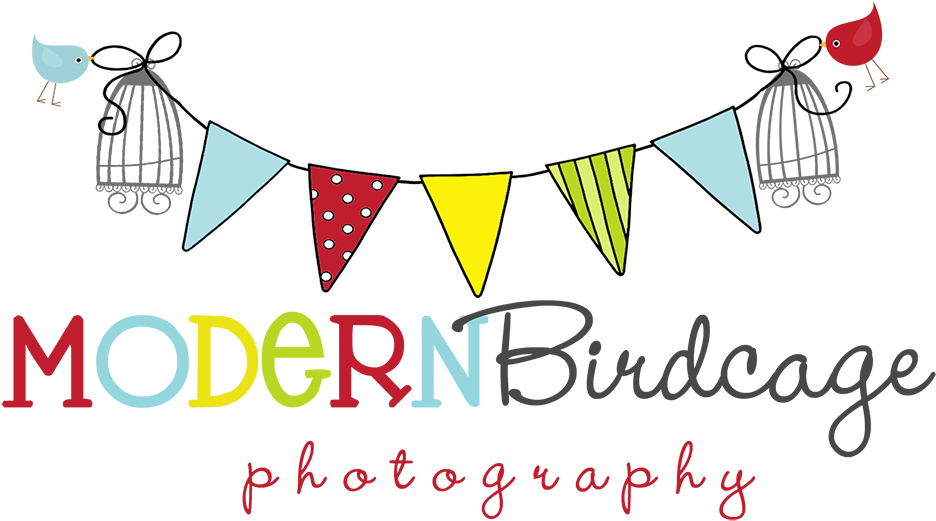 Modern Birdcage Photography - Birthday (1000x547), Png Download