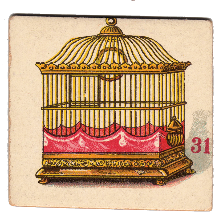 This Is Another One Of Those Charming Cards From The - Vintage Gilded Cage Illustration On Canvas Tote -- (950x924), Png Download