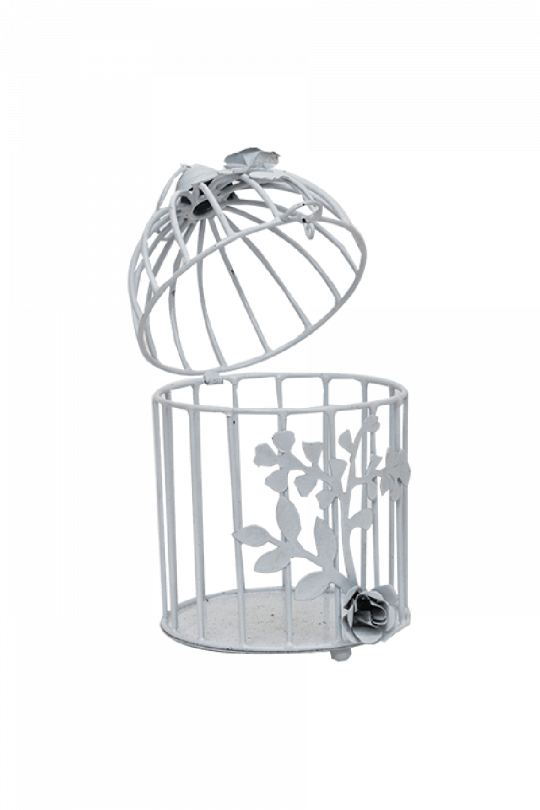 Birdcage (540x810), Png Download