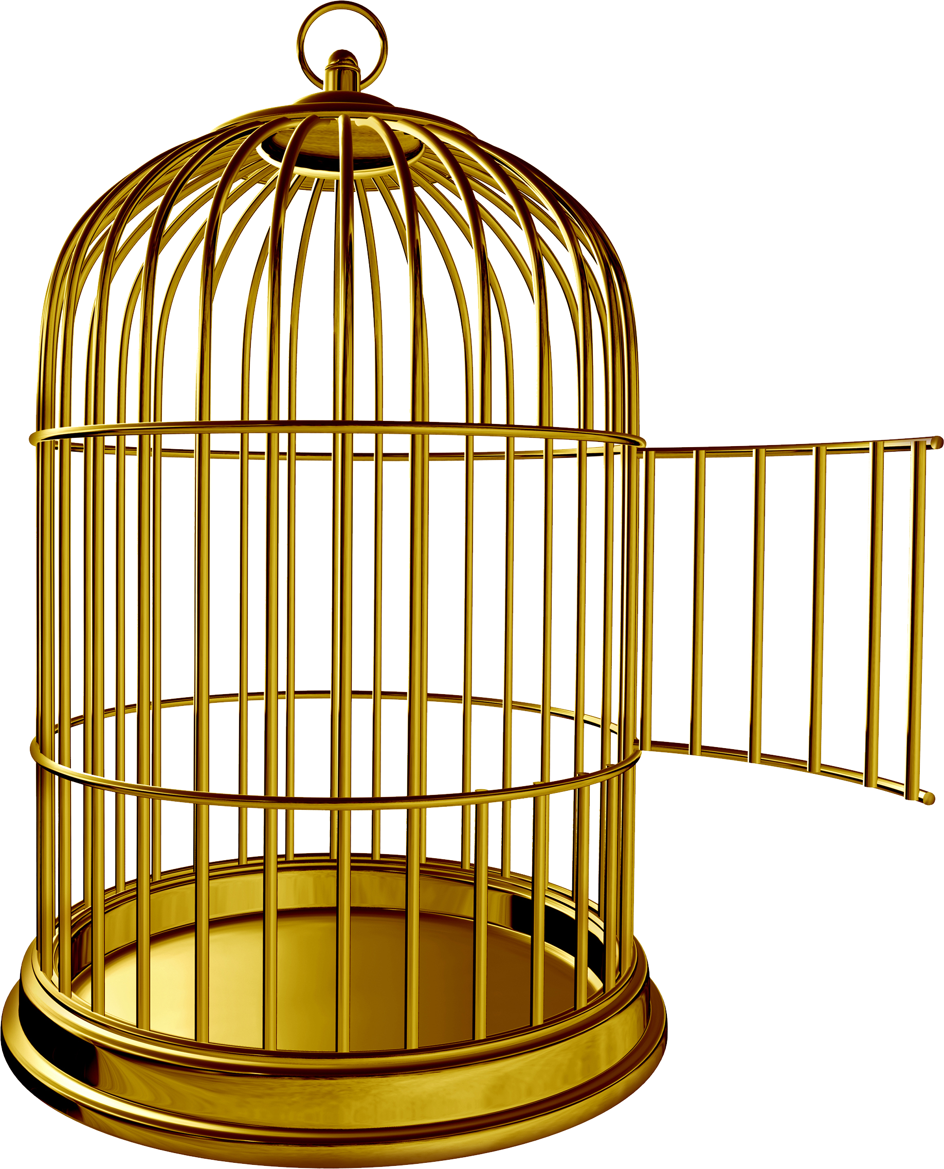 Birdcage Parrot Clip Art - Bird Cage Door Open (1836x2272), Png Download